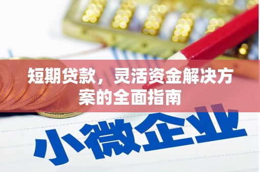 阳新短期贷款，灵活资金解决方案的全面指南