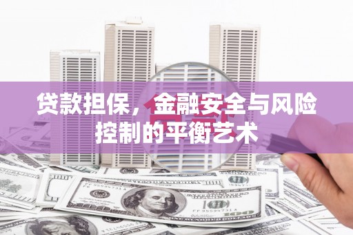 阳新贷款担保，金融安全与风险控制的平衡艺术