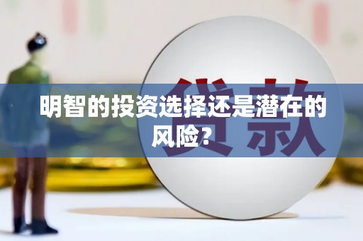 应县明智的投资选择还是潜在的风险？