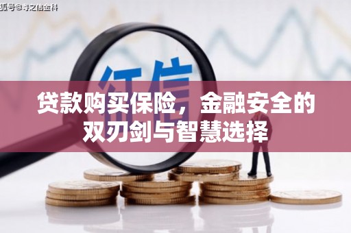 横栏贷款购买保险，金融安全的双刃剑与智慧选择