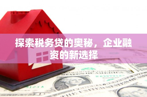 甘德探索税务贷的奥秘，企业融资的新选择