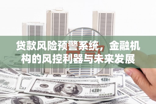 靖州贷款风险预警系统，金融机构的风控利器与未来发展