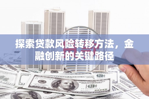 贡嘎探索贷款风险转移方法，金融创新的关键路径