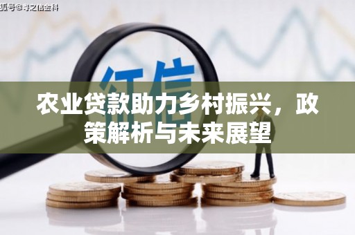 阳江农业贷款助力乡村振兴，政策解析与未来展望