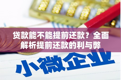 梅里斯贷款能不能提前还款？全面解析提前还款的利与弊