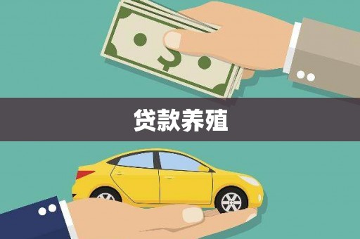 阳江贷款养殖