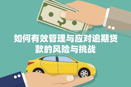 咸丰如何有效管理与应对逾期贷款的风险与挑战