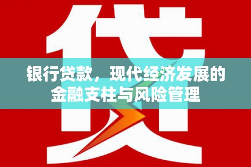 仪陇银行贷款，现代经济发展的金融支柱与风险管理