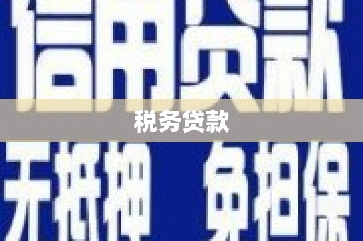 广东税务贷款
