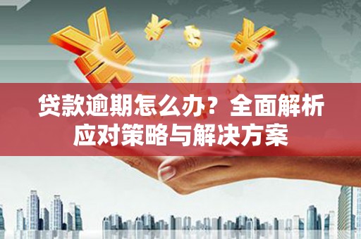 资中贷款逾期怎么办？全面解析应对策略与解决方案