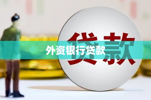盘县外资银行贷款