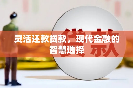 乐安灵活还款贷款，现代金融的智慧选择