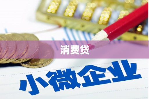 乐安消费贷