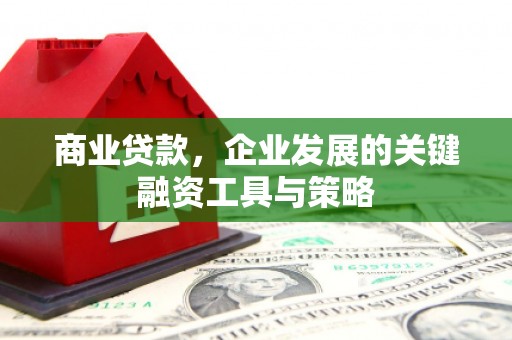 衡南商业贷款，企业发展的关键融资工具与策略