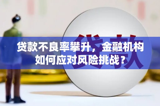 望都贷款不良率攀升，金融机构如何应对风险挑战？