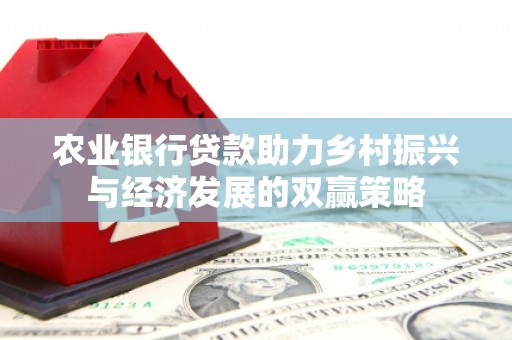 康乐农业银行贷款助力乡村振兴与经济发展的双赢策略