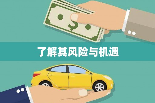 眉县了解其风险与机遇
