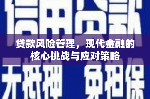 衡山贷款风险管理，现代金融的核心挑战与应对策略