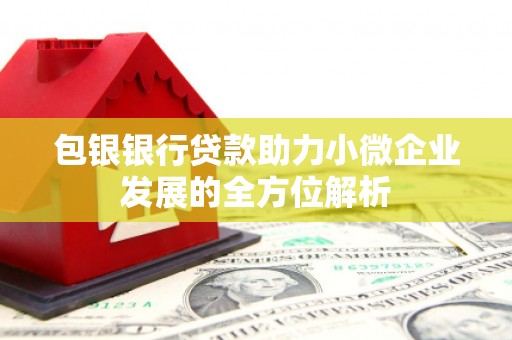 衡山包银银行贷款助力小微企业发展的全方位解析