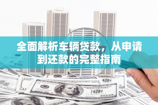 丹寨全面解析车辆贷款，从申请到还款的完整指南