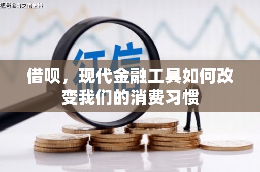 丹寨借呗，现代金融工具如何改变我们的消费习惯