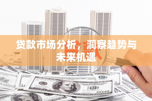 应城贷款市场分析，洞察趋势与未来机遇