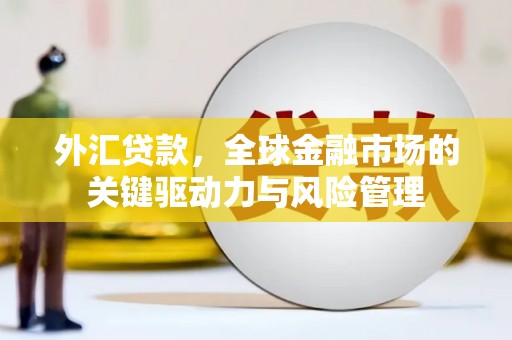 石龙外汇贷款，全球金融市场的关键驱动力与风险管理