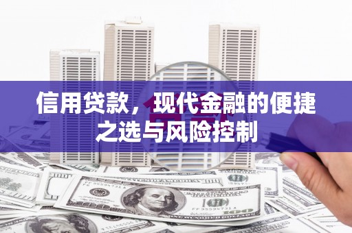 金乡信用贷款，现代金融的便捷之选与风险控制