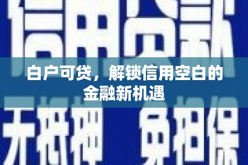 隆安白户可贷，解锁信用空白的金融新机遇