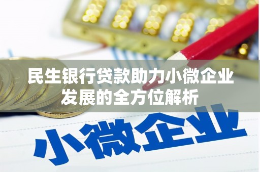隆安民生银行贷款助力小微企业发展的全方位解析