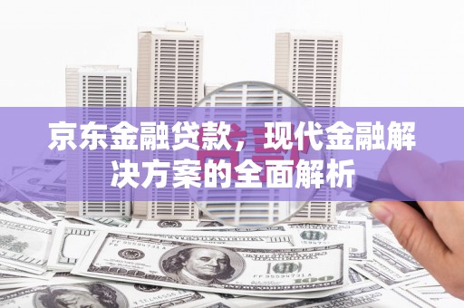 隆安京东金融贷款，现代金融解决方案的全面解析