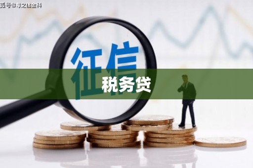平凉税务贷