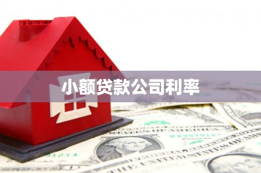 临猗小额贷款公司利率