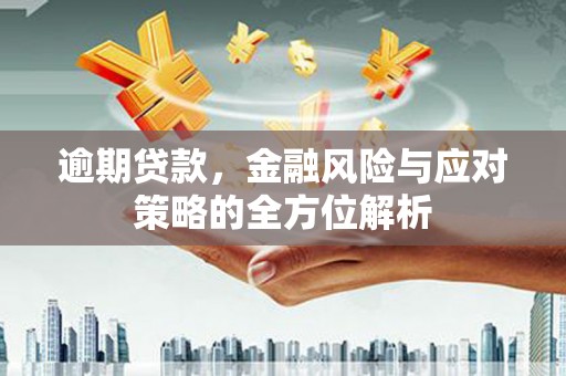 蒙自逾期贷款，金融风险与应对策略的全方位解析