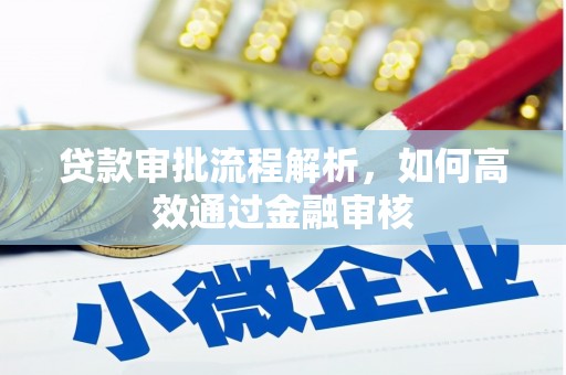 岳池贷款审批流程解析，如何高效通过金融审核