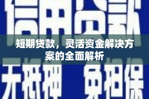 大里短期贷款，灵活资金解决方案的全面解析