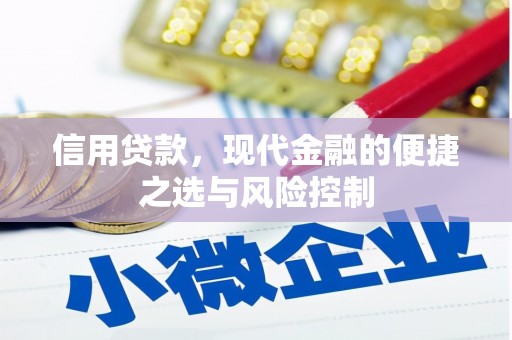 京口信用贷款，现代金融的便捷之选与风险控制