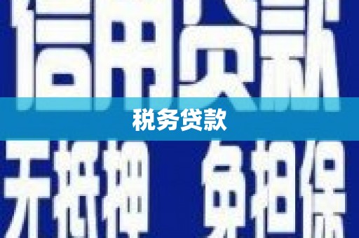 江东税务贷款