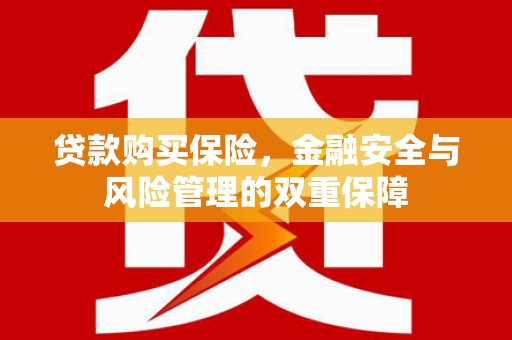 西乌旗贷款购买保险，金融安全与风险管理的双重保障