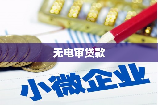 温江无电审贷款
