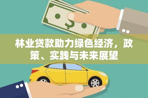 彝良林业贷款助力绿色经济，政策、实践与未来展望