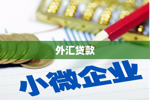 洪江外汇贷款