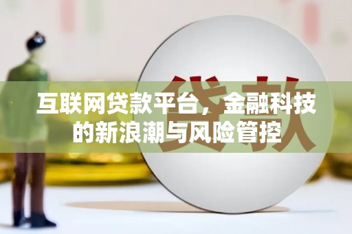 阜城互联网贷款平台，金融科技的新浪潮与风险管控