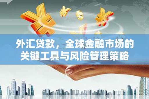 温岭外汇贷款，全球金融市场的关键工具与风险管理策略