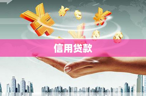 赫章信用贷款