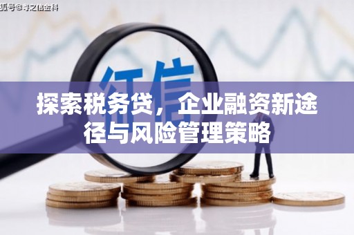 阜城探索税务贷，企业融资新途径与风险管理策略