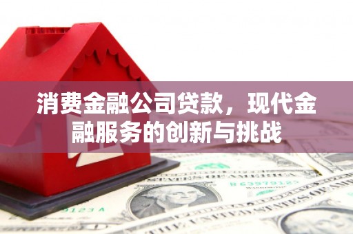 灵寿消费金融公司贷款，现代金融服务的创新与挑战