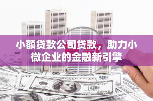 南澳小额贷款公司贷款，助力小微企业的金融新引擎