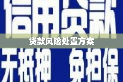 芦淞贷款风险处置方案