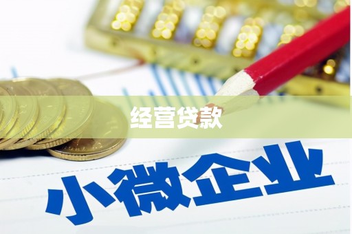 芦淞经营贷款